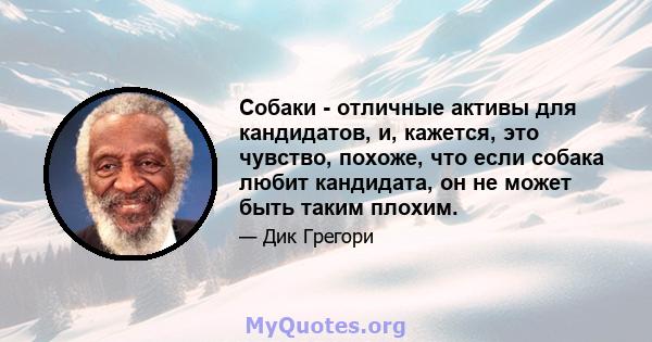 Собаки - отличные активы для кандидатов, и, кажется, это чувство, похоже, что если собака любит кандидата, он не может быть таким плохим.