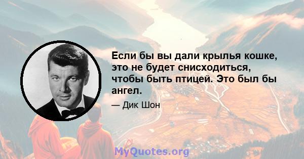 Если бы вы дали крылья кошке, это не будет снисходиться, чтобы быть птицей. Это был бы ангел.