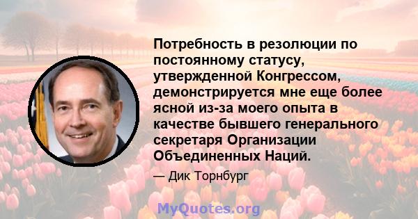 Потребность в резолюции по постоянному статусу, утвержденной Конгрессом, демонстрируется мне еще более ясной из-за моего опыта в качестве бывшего генерального секретаря Организации Объединенных Наций.