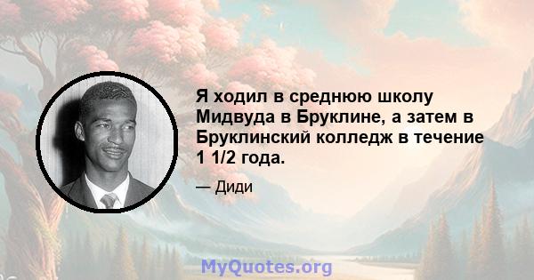 Я ходил в среднюю школу Мидвуда в Бруклине, а затем в Бруклинский колледж в течение 1 1/2 года.