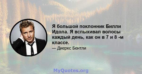 Я большой поклонник Билли Идола. Я вспыхивал волосы каждый день, как он в 7 и 8 -м классе.