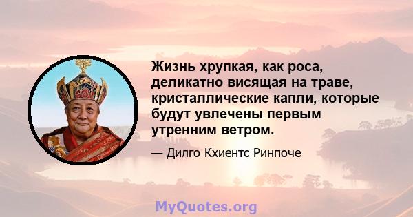 Жизнь хрупкая, как роса, деликатно висящая на траве, кристаллические капли, которые будут увлечены первым утренним ветром.