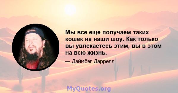 Мы все еще получаем таких кошек на наши шоу. Как только вы увлекаетесь этим, вы в этом на всю жизнь.