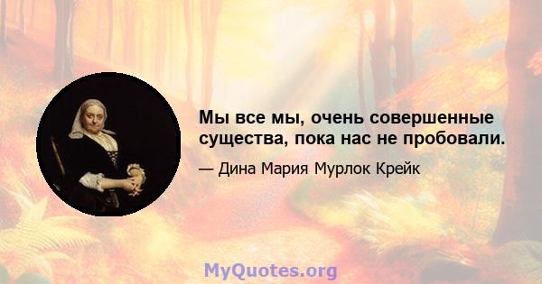 Мы все мы, очень совершенные существа, пока нас не пробовали.