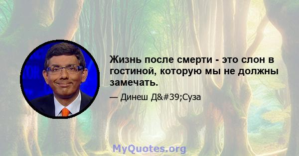 Жизнь после смерти - это слон в гостиной, которую мы не должны замечать.