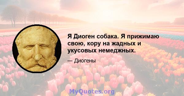 Я Диоген собака. Я прижимаю свою, кору на жадных и укусовых немеджных.