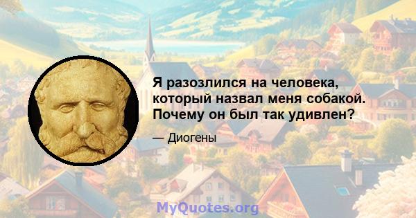 Я разозлился на человека, который назвал меня собакой. Почему он был так удивлен?