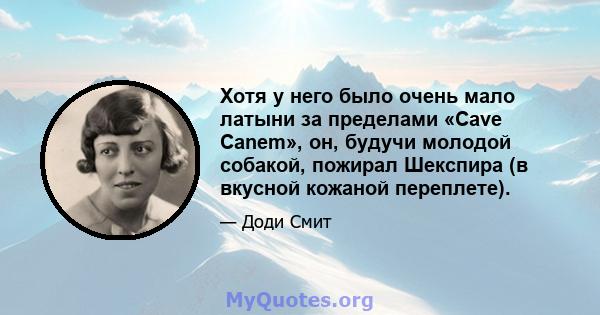 Хотя у него было очень мало латыни за пределами «Cave Canem», он, будучи молодой собакой, пожирал Шекспира (в вкусной кожаной переплете).