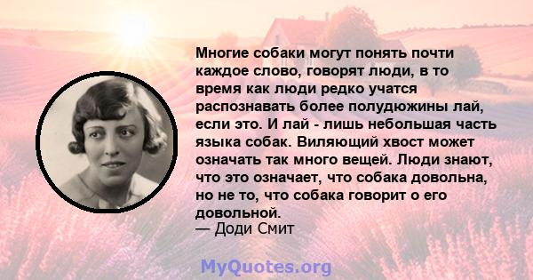 Многие собаки могут понять почти каждое слово, говорят люди, в то время как люди редко учатся распознавать более полудюжины лай, если это. И лай - лишь небольшая часть языка собак. Виляющий хвост может означать так