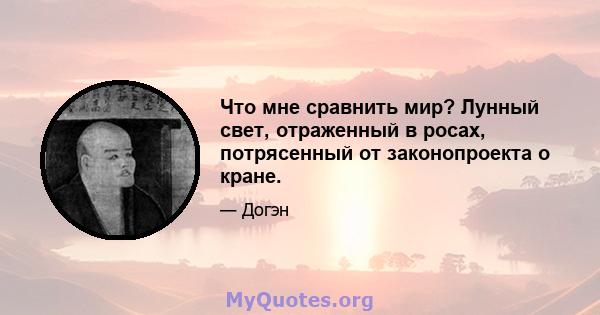 Что мне сравнить мир? Лунный свет, отраженный в росах, потрясенный от законопроекта о кране.