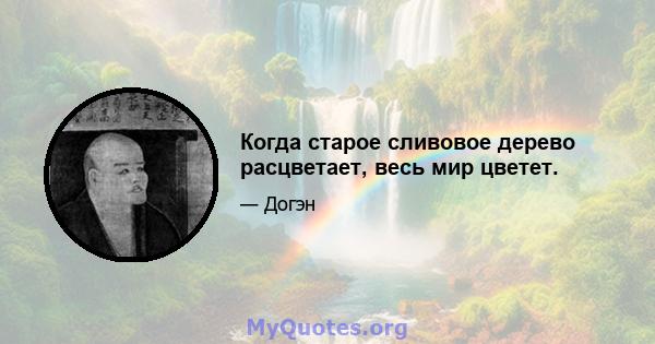 Когда старое сливовое дерево расцветает, весь мир цветет.