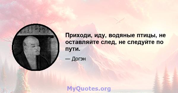 Приходи, иду, водяные птицы, не оставляйте след, не следуйте по пути.