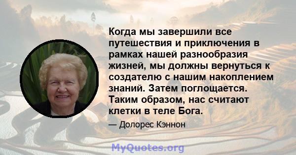 Когда мы завершили все путешествия и приключения в рамках нашей разнообразия жизней, мы должны вернуться к создателю с нашим накоплением знаний. Затем поглощается. Таким образом, нас считают клетки в теле Бога.