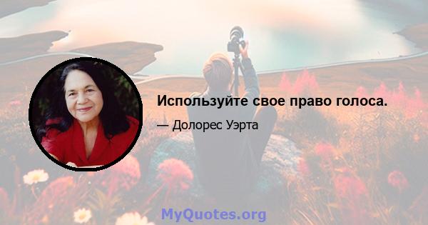 Используйте свое право голоса.