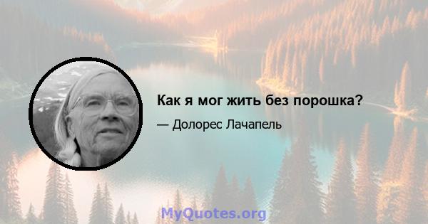 Как я мог жить без порошка?