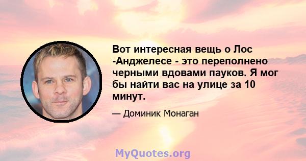 Вот интересная вещь о Лос -Анджелесе - это переполнено черными вдовами пауков. Я мог бы найти вас на улице за 10 минут.