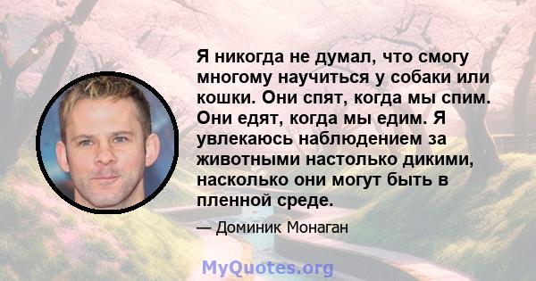 Я никогда не думал, что смогу многому научиться у собаки или кошки. Они спят, когда мы спим. Они едят, когда мы едим. Я увлекаюсь наблюдением за животными настолько дикими, насколько они могут быть в пленной среде.