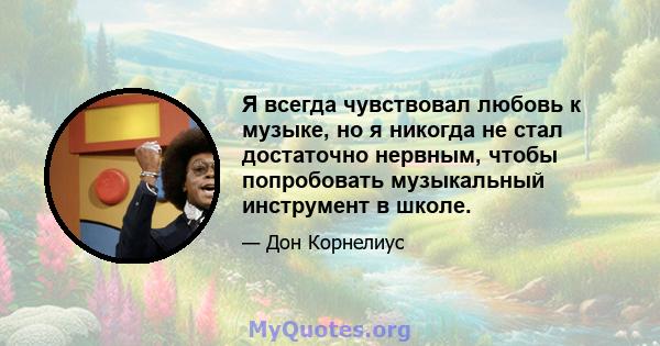 Я всегда чувствовал любовь к музыке, но я никогда не стал достаточно нервным, чтобы попробовать музыкальный инструмент в школе.