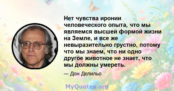 Нет чувства иронии человеческого опыта, что мы являемся высшей формой жизни на Земле, и все же невыразительно грустно, потому что мы знаем, что ни одно другое животное не знает, что мы должны умереть.