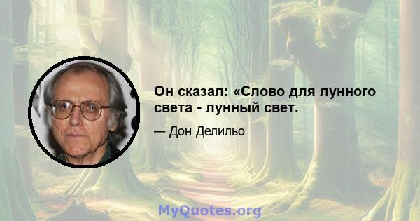 Он сказал: «Слово для лунного света - лунный свет.