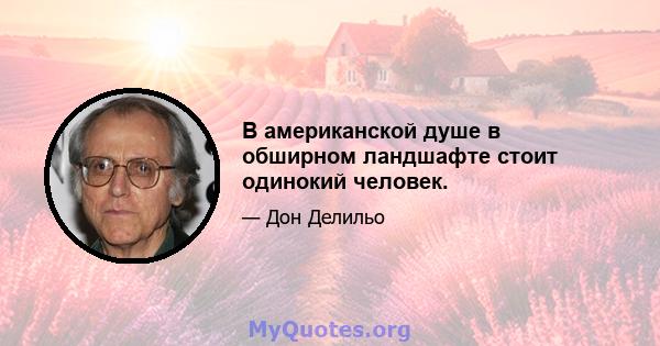 В американской душе в обширном ландшафте стоит одинокий человек.