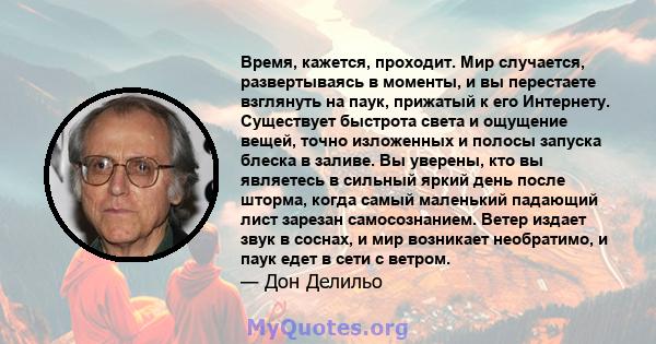 Время, кажется, проходит. Мир случается, развертываясь в моменты, и вы перестаете взглянуть на паук, прижатый к его Интернету. Существует быстрота света и ощущение вещей, точно изложенных и полосы запуска блеска в