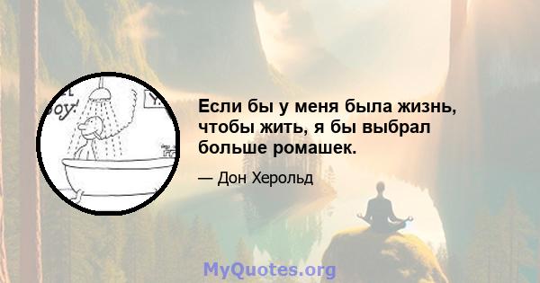 Если бы у меня была жизнь, чтобы жить, я бы выбрал больше ромашек.