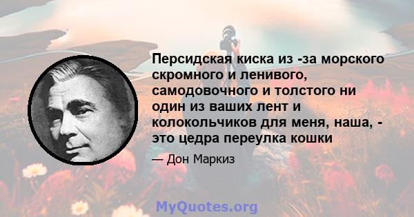 Персидская киска из -за морского скромного и ленивого, самодовочного и толстого ни один из ваших лент и колокольчиков для меня, наша, - это цедра переулка кошки