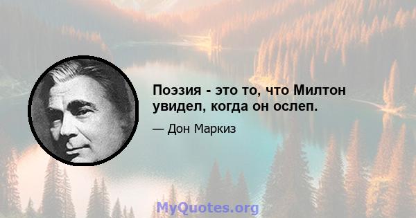 Поэзия - это то, что Милтон увидел, когда он ослеп.