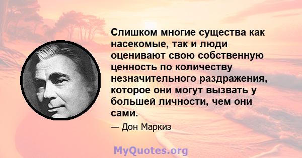 Слишком многие существа как насекомые, так и люди оценивают свою собственную ценность по количеству незначительного раздражения, которое они могут вызвать у большей личности, чем они сами.