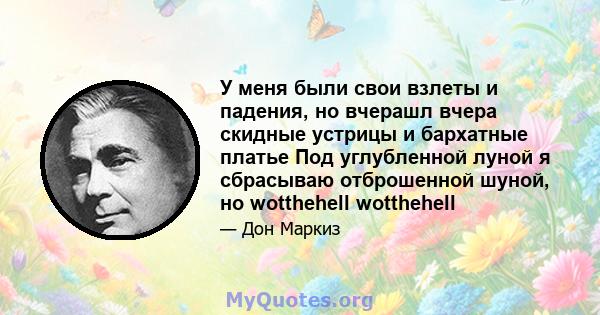 У меня были свои взлеты и падения, но вчерашл вчера скидные устрицы и бархатные платье Под углубленной луной я сбрасываю отброшенной шуной, но wotthehell wotthehell