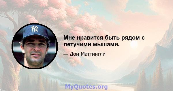 Мне нравится быть рядом с летучими мышами.