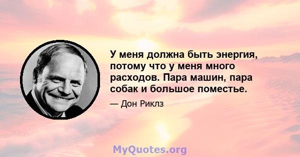 У меня должна быть энергия, потому что у меня много расходов. Пара машин, пара собак и большое поместье.