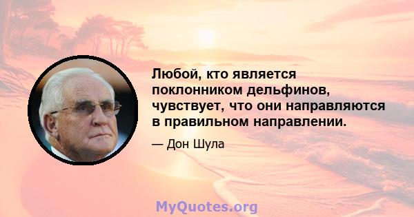 Любой, кто является поклонником дельфинов, чувствует, что они направляются в правильном направлении.