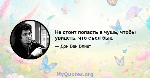 Не стоит попасть в чушь, чтобы увидеть, что съел бык.