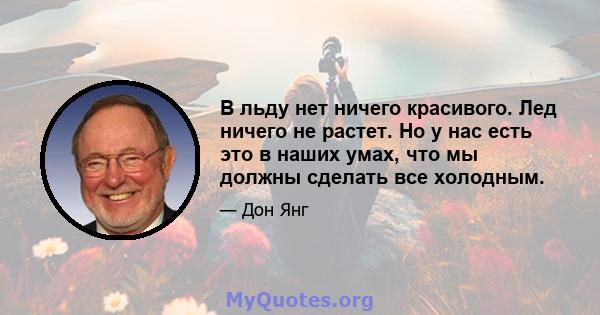 В льду нет ничего красивого. Лед ничего не растет. Но у нас есть это в наших умах, что мы должны сделать все холодным.