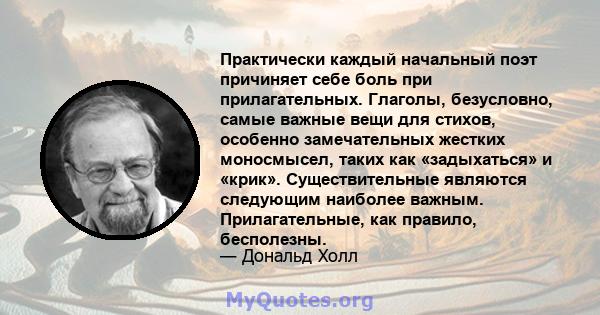 Практически каждый начальный поэт причиняет себе боль при прилагательных. Глаголы, безусловно, самые важные вещи для стихов, особенно замечательных жестких моносмысел, таких как «задыхаться» и «крик». Существительные