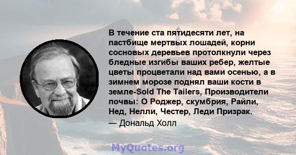 В течение ста пятидесяти лет, на пастбище мертвых лошадей, корни сосновых деревьев протолкнули через бледные изгибы ваших ребер, желтые цветы процветали над вами осенью, а в зимнем морозе поднял ваши кости в земле-Sold