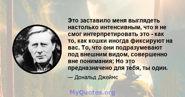 Это заставило меня выглядеть настолько интенсивным, что я не смог интерпретировать это - как то, как кошки иногда фиксируют на вас. То, что они подразумевают под внешним видом, совершенно вне понимания; Но это