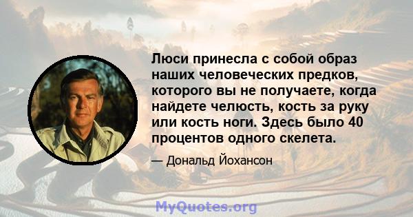 Люси принесла с собой образ наших человеческих предков, которого вы не получаете, когда найдете челюсть, кость за руку или кость ноги. Здесь было 40 процентов одного скелета.