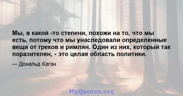 Мы, в какой -то степени, похожи на то, что мы есть, потому что мы унаследовали определенные вещи от греков и римлян. Один из них, который так поразителен, - это целая область политики.