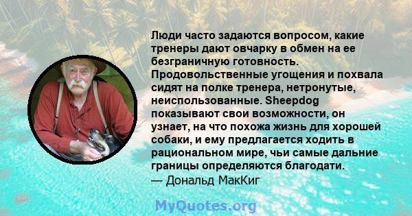 Люди часто задаются вопросом, какие тренеры дают овчарку в обмен на ее безграничную готовность. Продовольственные угощения и похвала сидят на полке тренера, нетронутые, неиспользованные. Sheepdog показывают свои