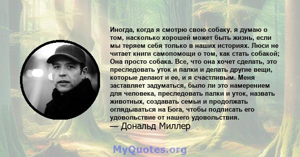 Иногда, когда я смотрю свою собаку, я думаю о том, насколько хорошей может быть жизнь, если мы теряем себя только в наших историях. Люси не читает книги самопомощи о том, как стать собакой; Она просто собака. Все, что