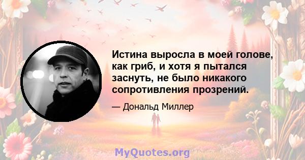 Истина выросла в моей голове, как гриб, и хотя я пытался заснуть, не было никакого сопротивления прозрений.