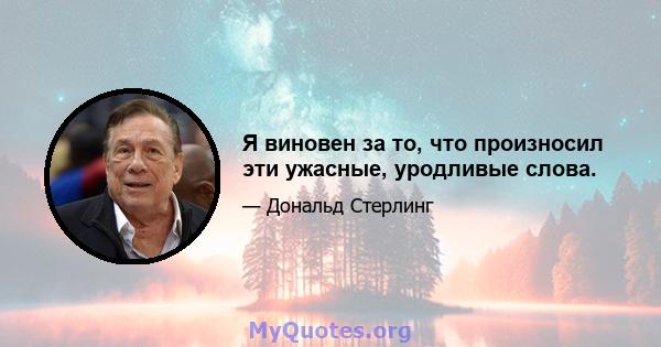 Я виновен за то, что произносил эти ужасные, уродливые слова.