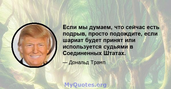 Если мы думаем, что сейчас есть подрыв, просто подождите, если шариат будет принят или используется судьями в Соединенных Штатах.