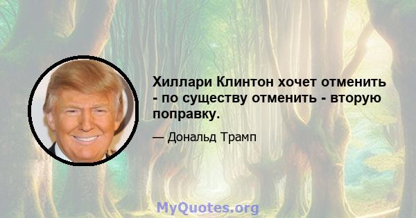 Хиллари Клинтон хочет отменить - по существу отменить - вторую поправку.