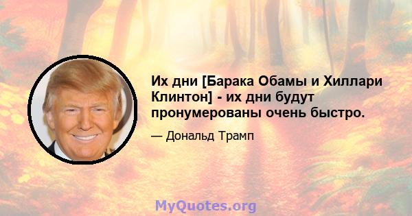 Их дни [Барака Обамы и Хиллари Клинтон] - их дни будут пронумерованы очень быстро.