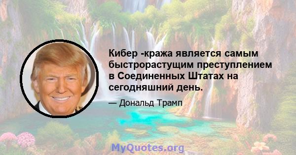 Кибер -кража является самым быстрорастущим преступлением в Соединенных Штатах на сегодняшний день.