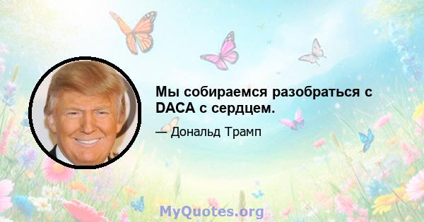 Мы собираемся разобраться с DACA с сердцем.